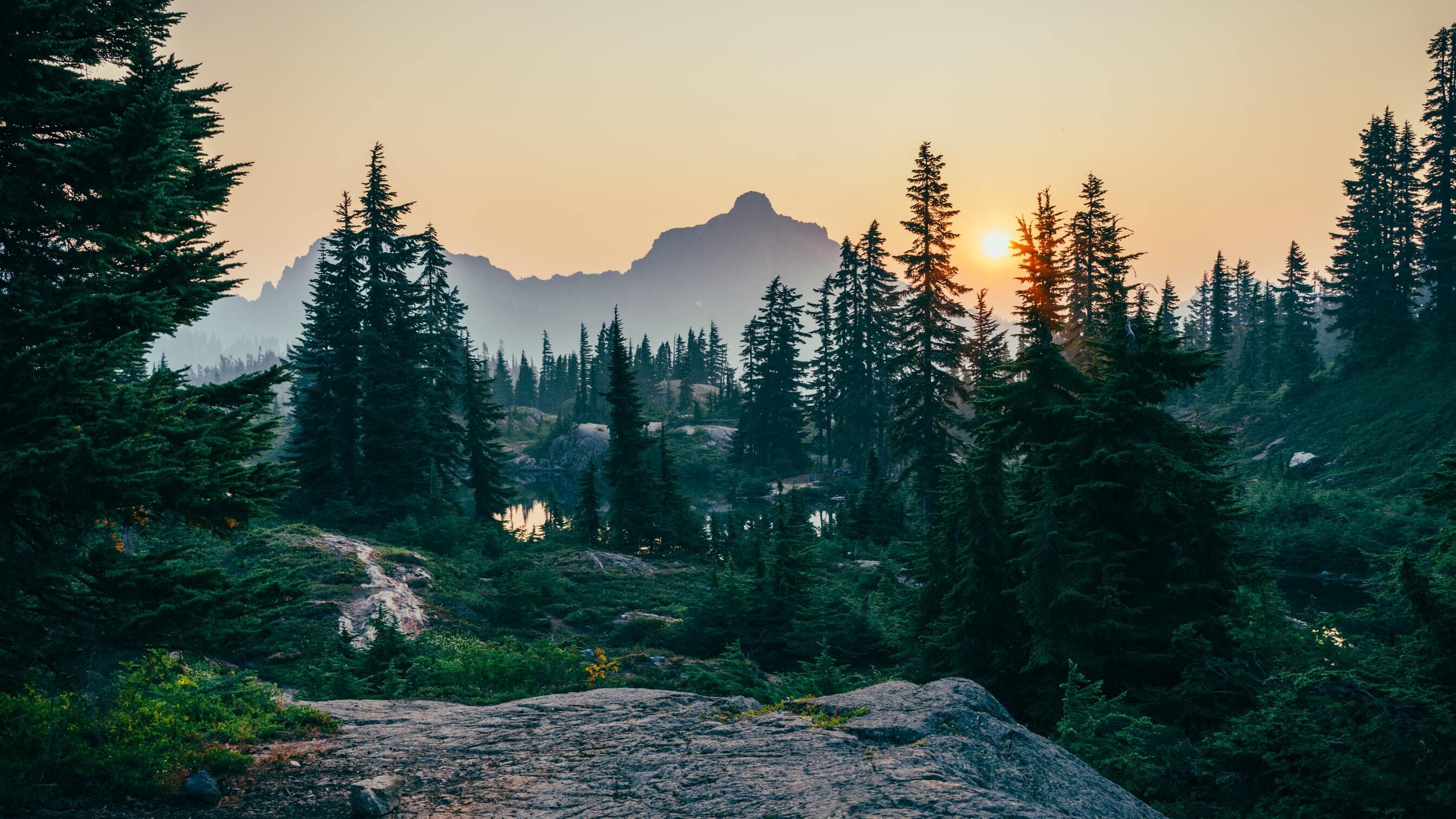 Investments in nature are a win for climate – and for local communities
