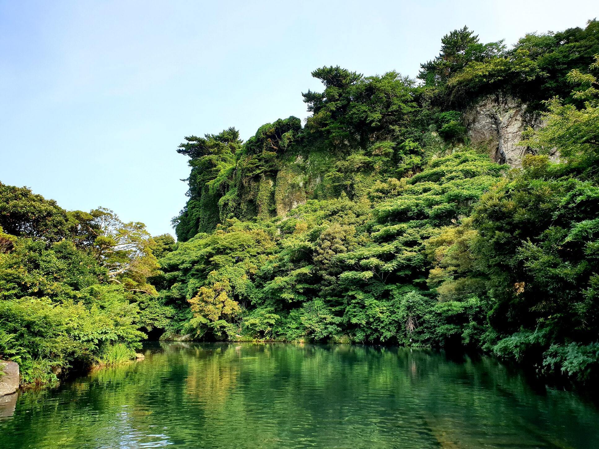 Conservation International is the Nature Program Partner for Climate Week NYC