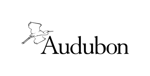 National Audubon Society Logo