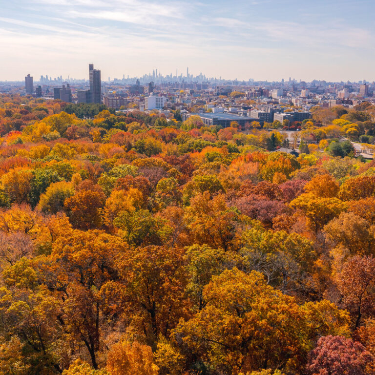 Cities as Climate Catalysts: Science-Driven Solutions for People and Nature