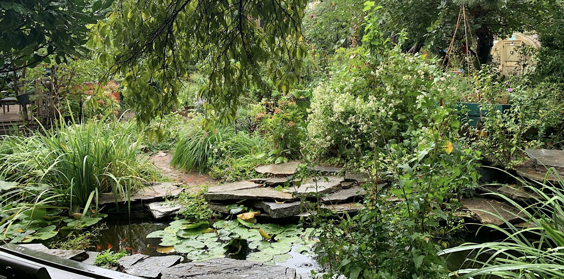 Day 2: Climate Innovation, Energy & Community Garden Tours with LUNGS