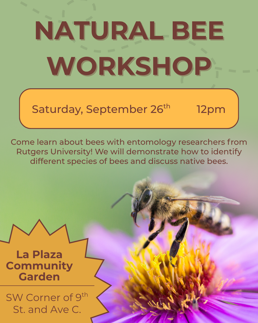 Natural Bee Workshop