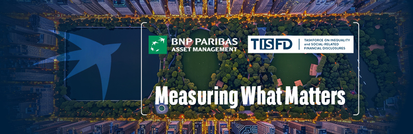 Measuring What Matters: TISFD Framework Introduction & BNPP AM–CISL Research Insights