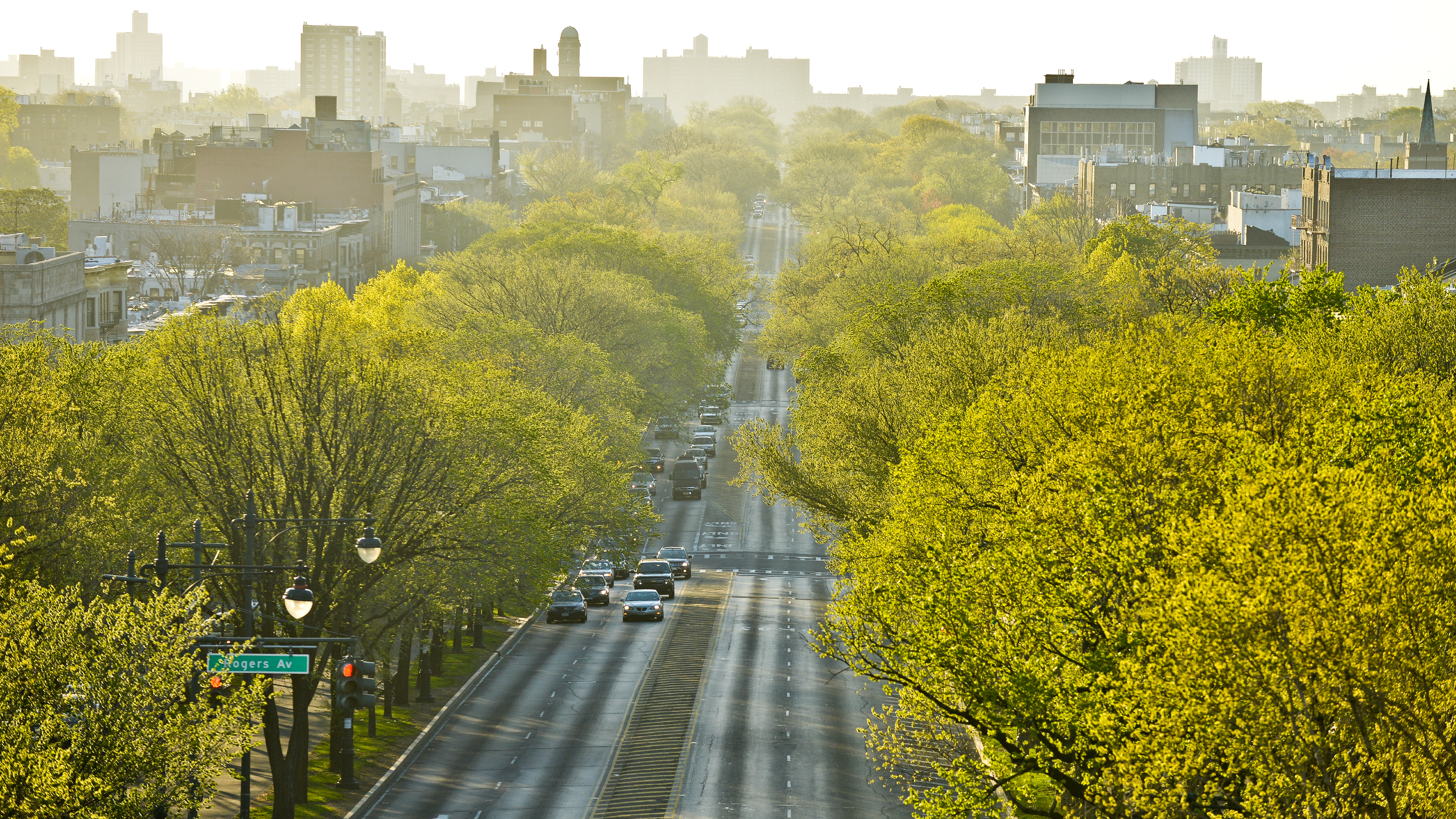 Beyond Planting Trees: Designing the Urban Forest as Climate Infrastructure Designing, Funding, and Caring for NYC’s Living Infrastructure