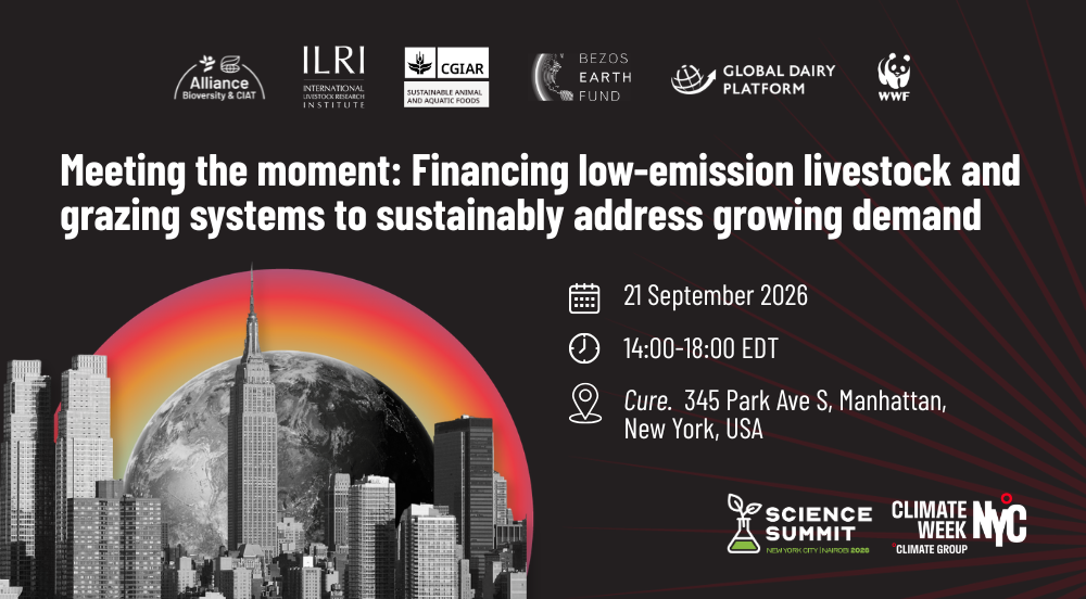 Meeting the moment: Financing low-emission livestock and grazing systems to sustainably address growing demand