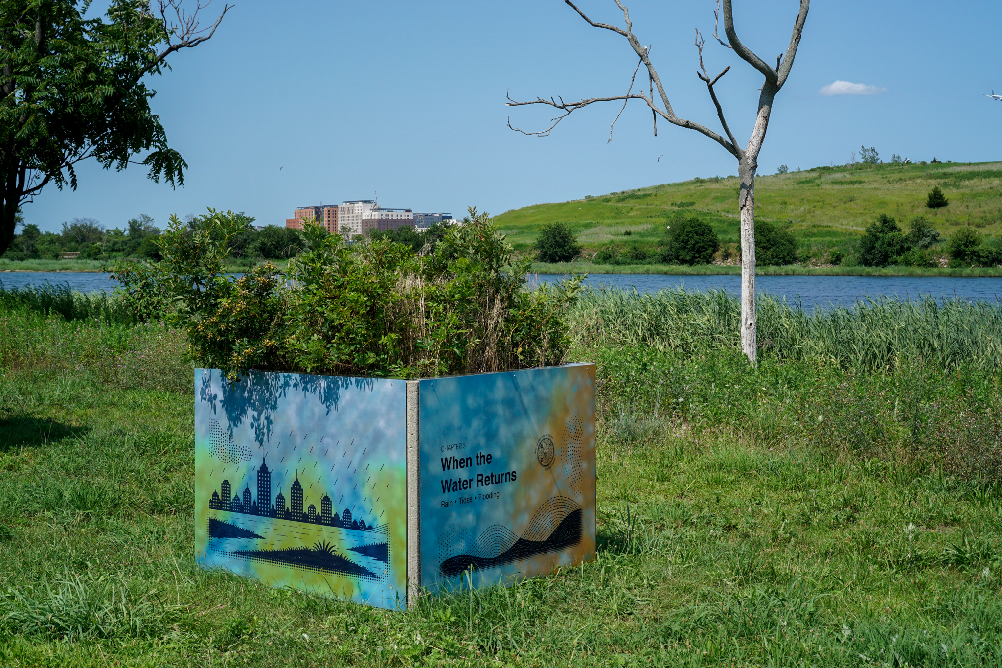 Opening Celebration for Littoral / Litoral