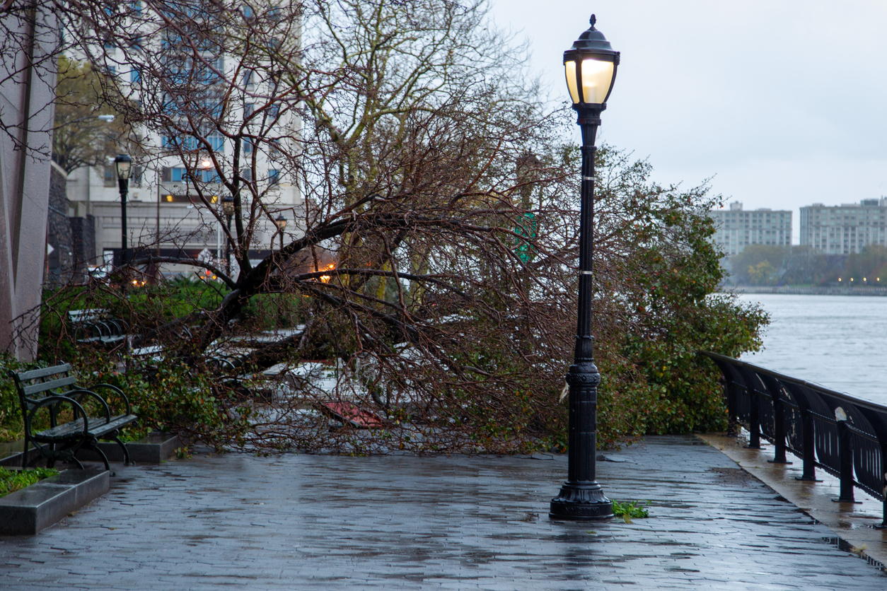Homes on the Edge – Living, Building, and Surviving in the Floodplain