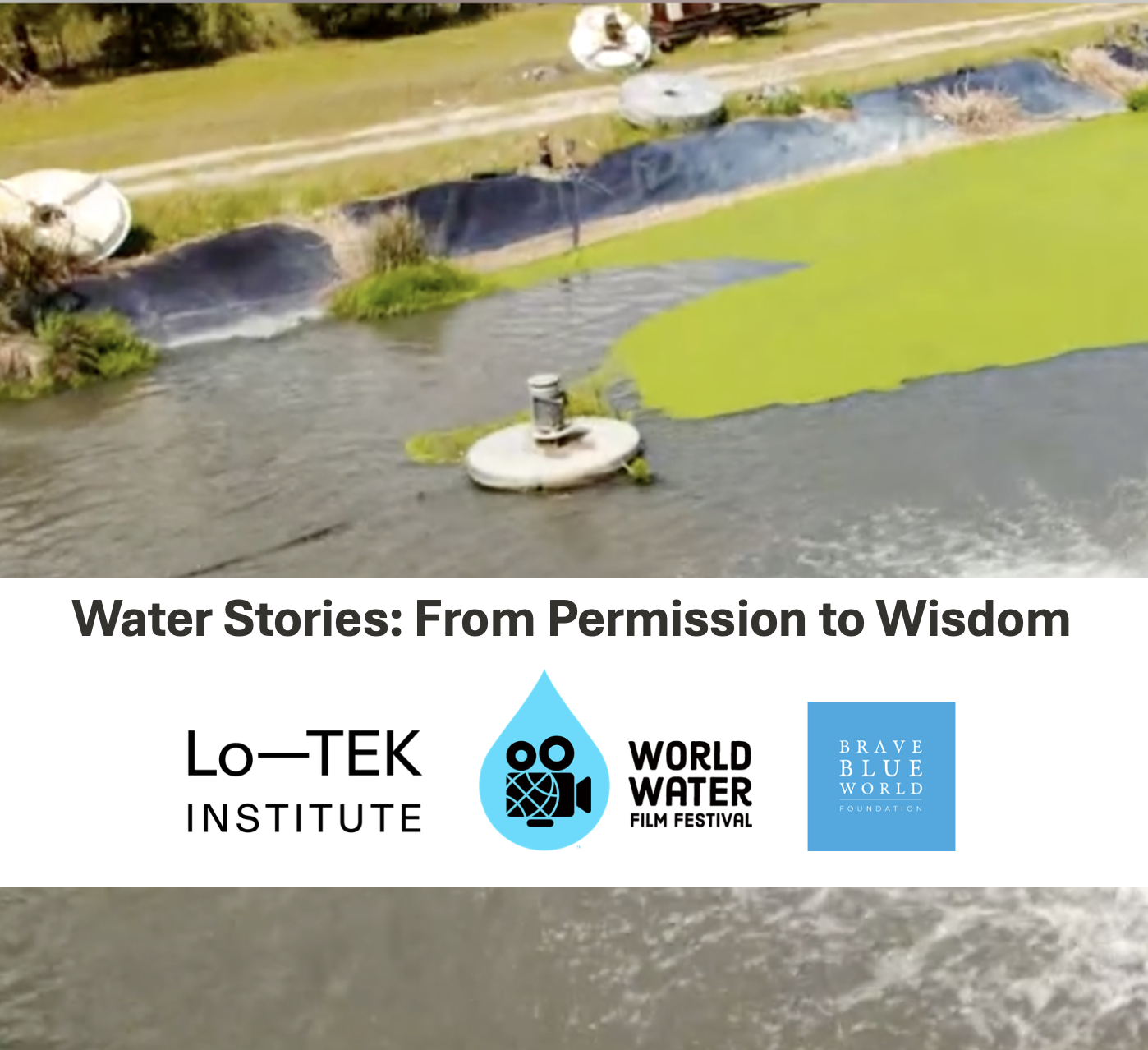Water Stories: From Permission to Wisdom with the World Water Film Festival, Lo-TEK Institute & Brave Blue World Foundation
