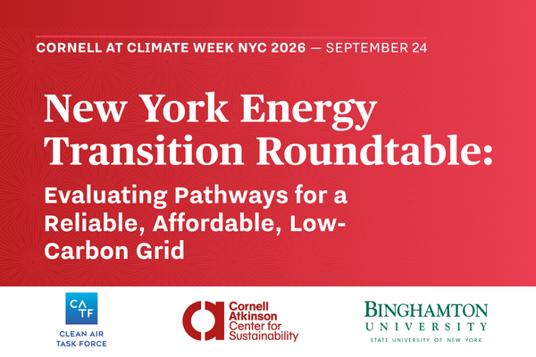 New York Energy Transition Roundtable: Evaluating Pathways for a Reliable, Affordable, Low-Carbon Grid