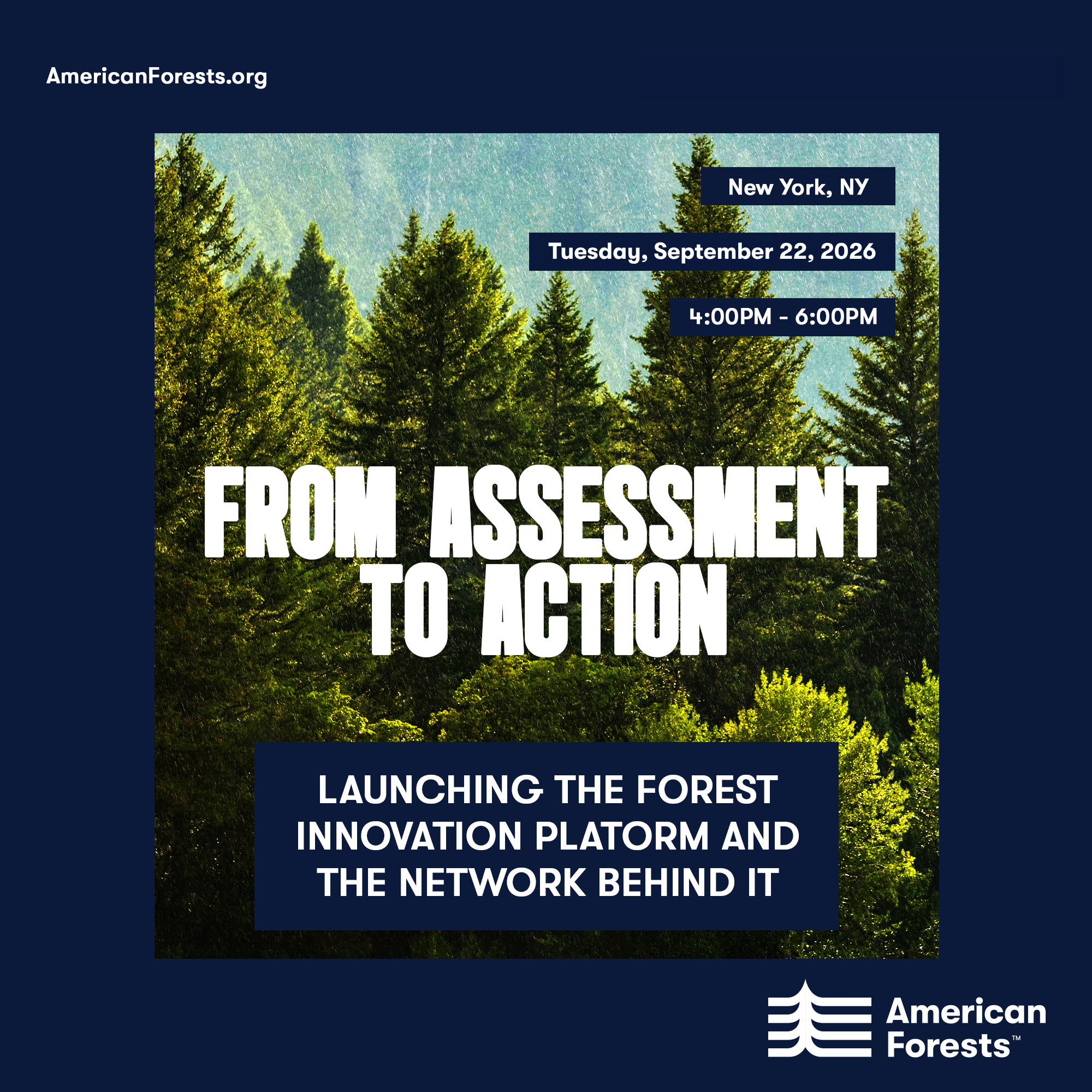 From Assessment to Action: Launching the Forest Innovation Platform