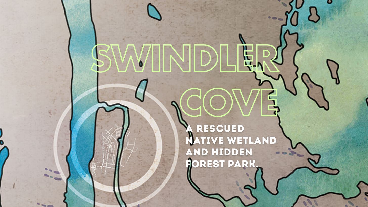 Come to the Cove! Celebrating the hidden wetland and woods along the Harlem River