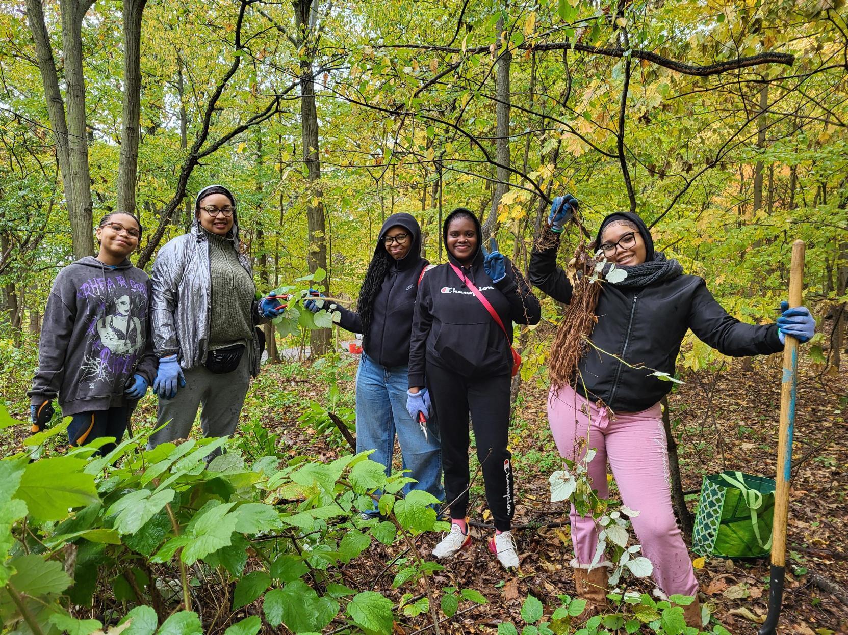 Jones Woods Park Forest Restoration