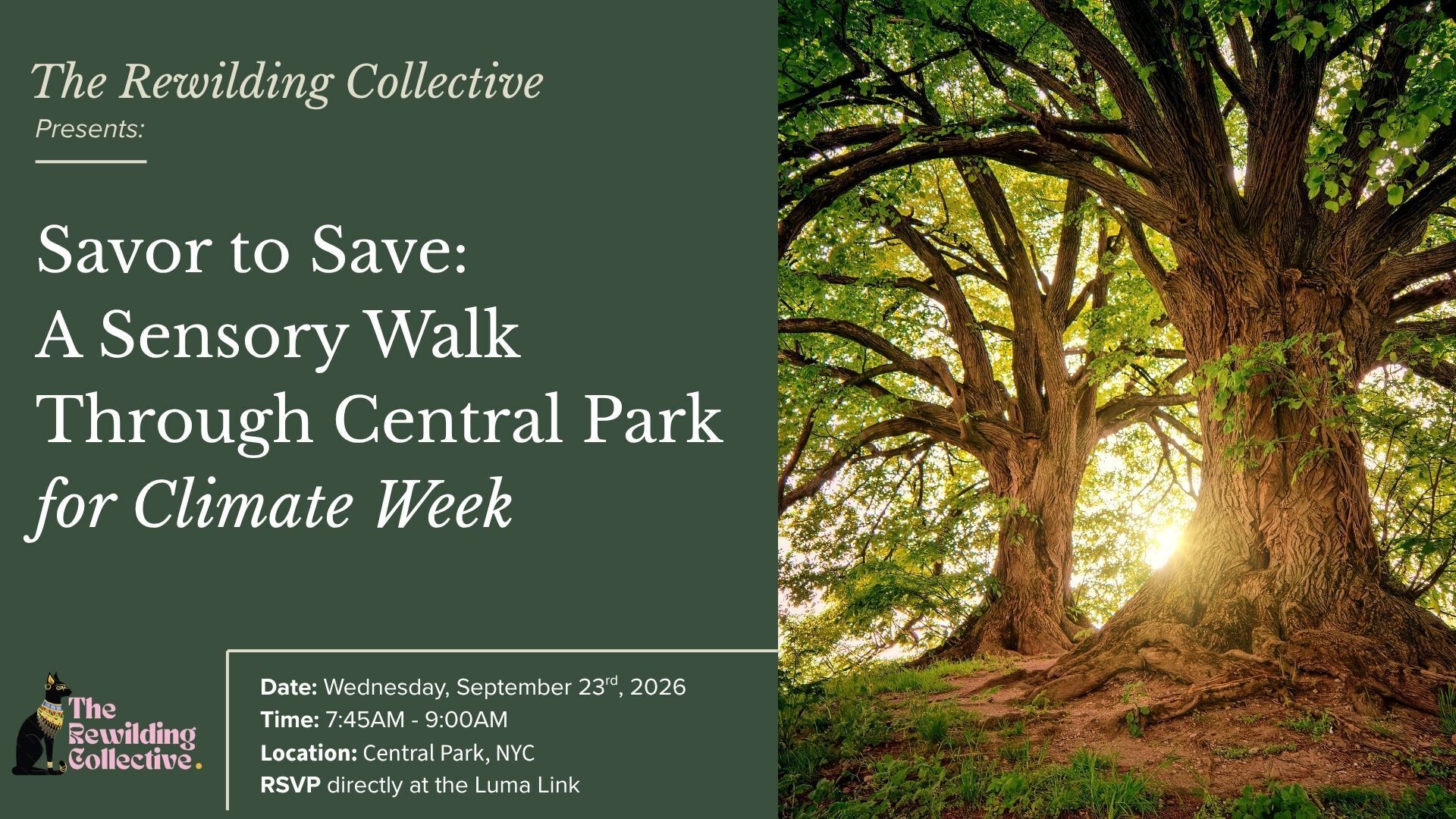 Savor the Earth:  A Mindful Walk Through Central Park for Climate Week