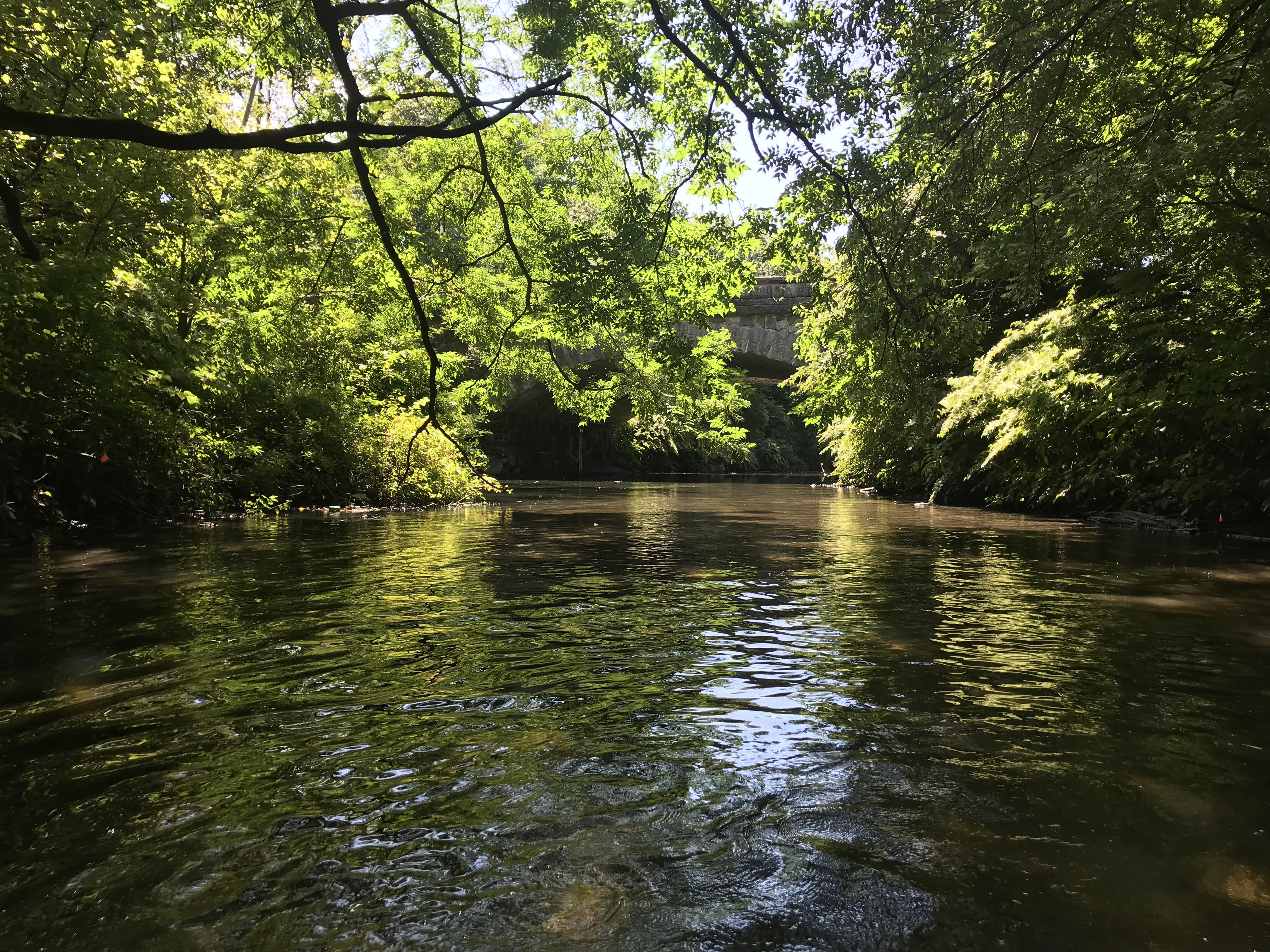 Climate Week NYC Documentary Screening: River Restoration & Climate Resilience