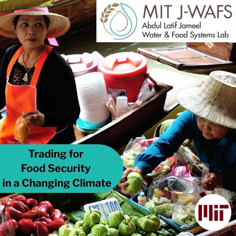 Trading for Food Security in a Changing Climate