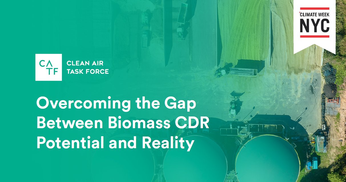 Overcoming the Gap  Between Biomass CDR  Potential and Reality