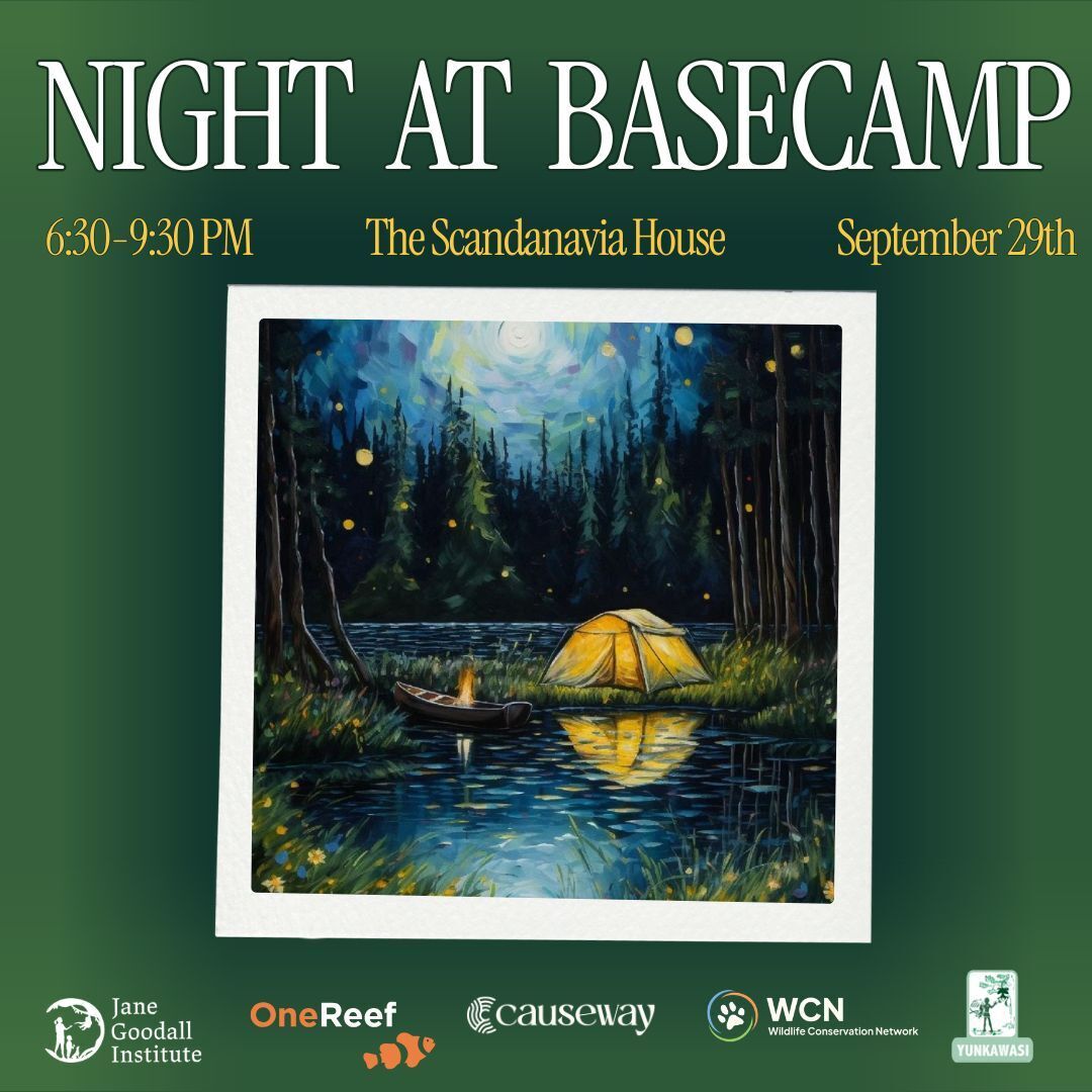 Night at Basecamp: An Evening of Conservation Storytelling