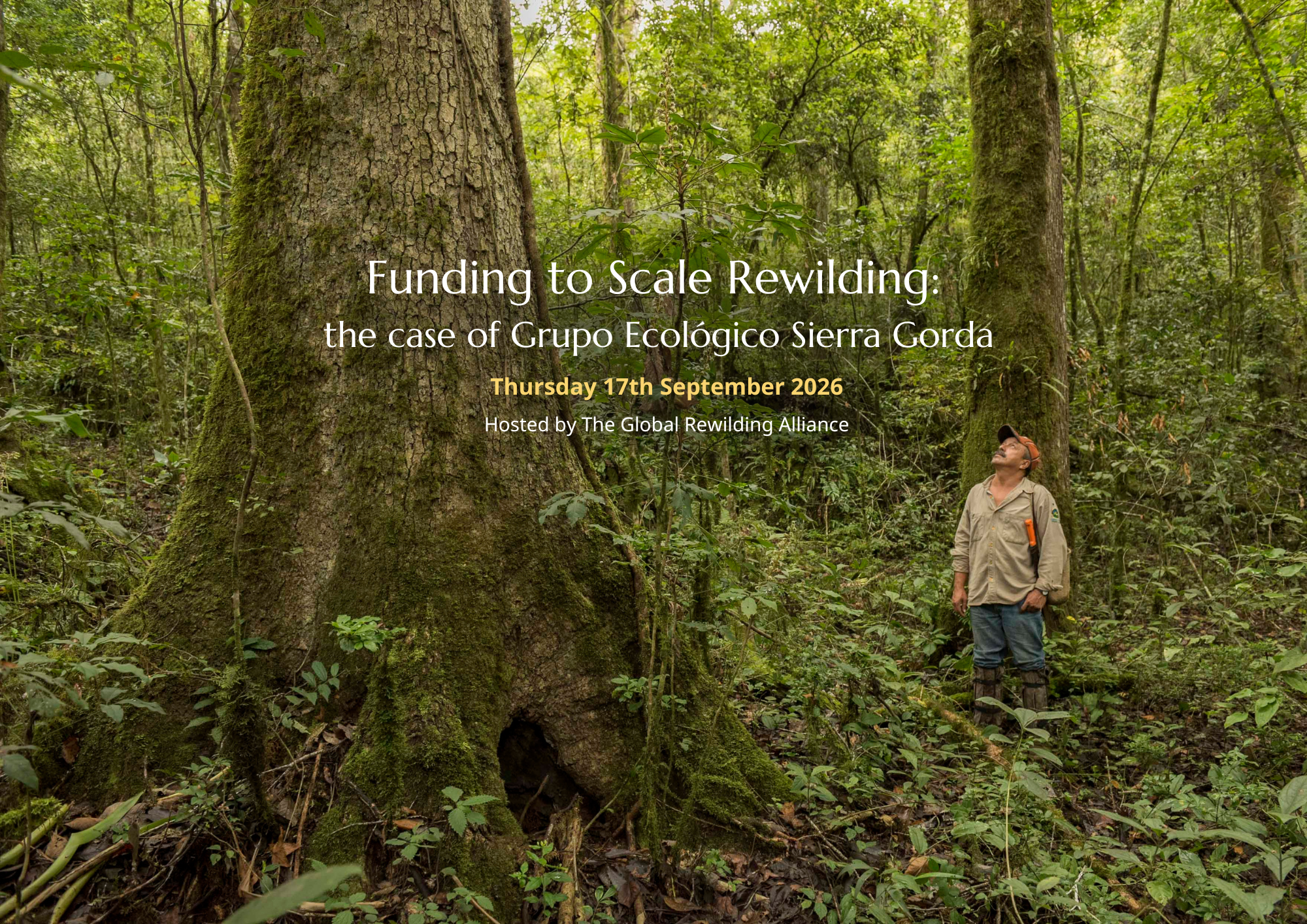 Funding to Scale Rewilding: the case of Grupo Ecológico Sierra Gorda in Mexico