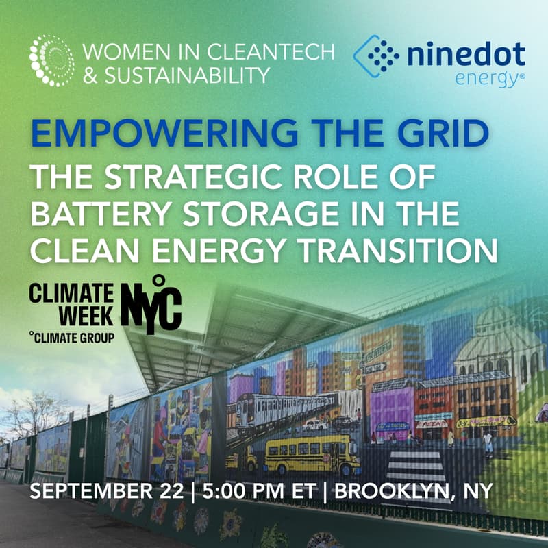 Empowering the Grid: The Strategic Role of Battery Storage in the Clean Energy Transition