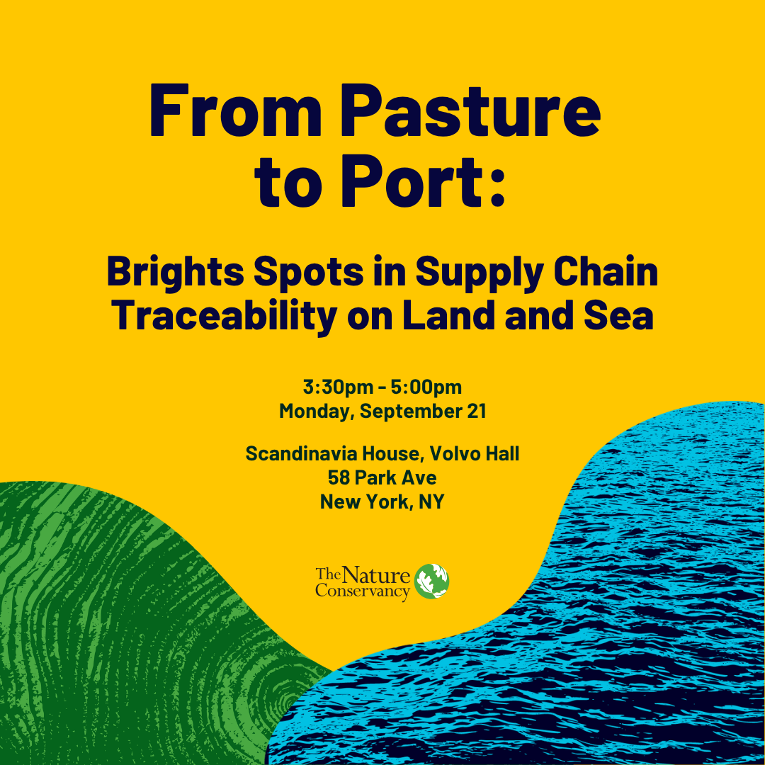 From Pasture to Port: Brights Spots in Supply Chain Traceability on Land and Sea