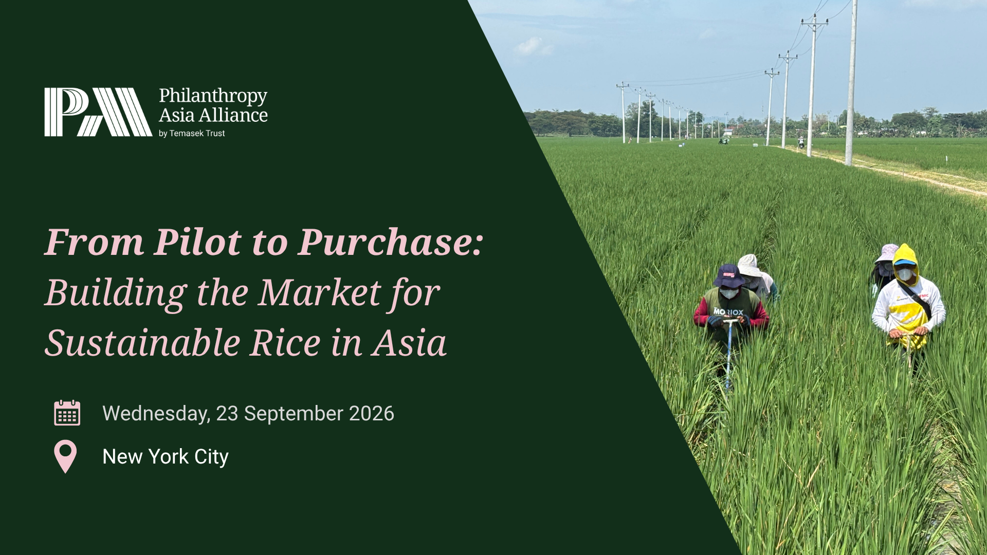 From Pilot to Purchase: Building the Market for Sustainable Rice in Asia
