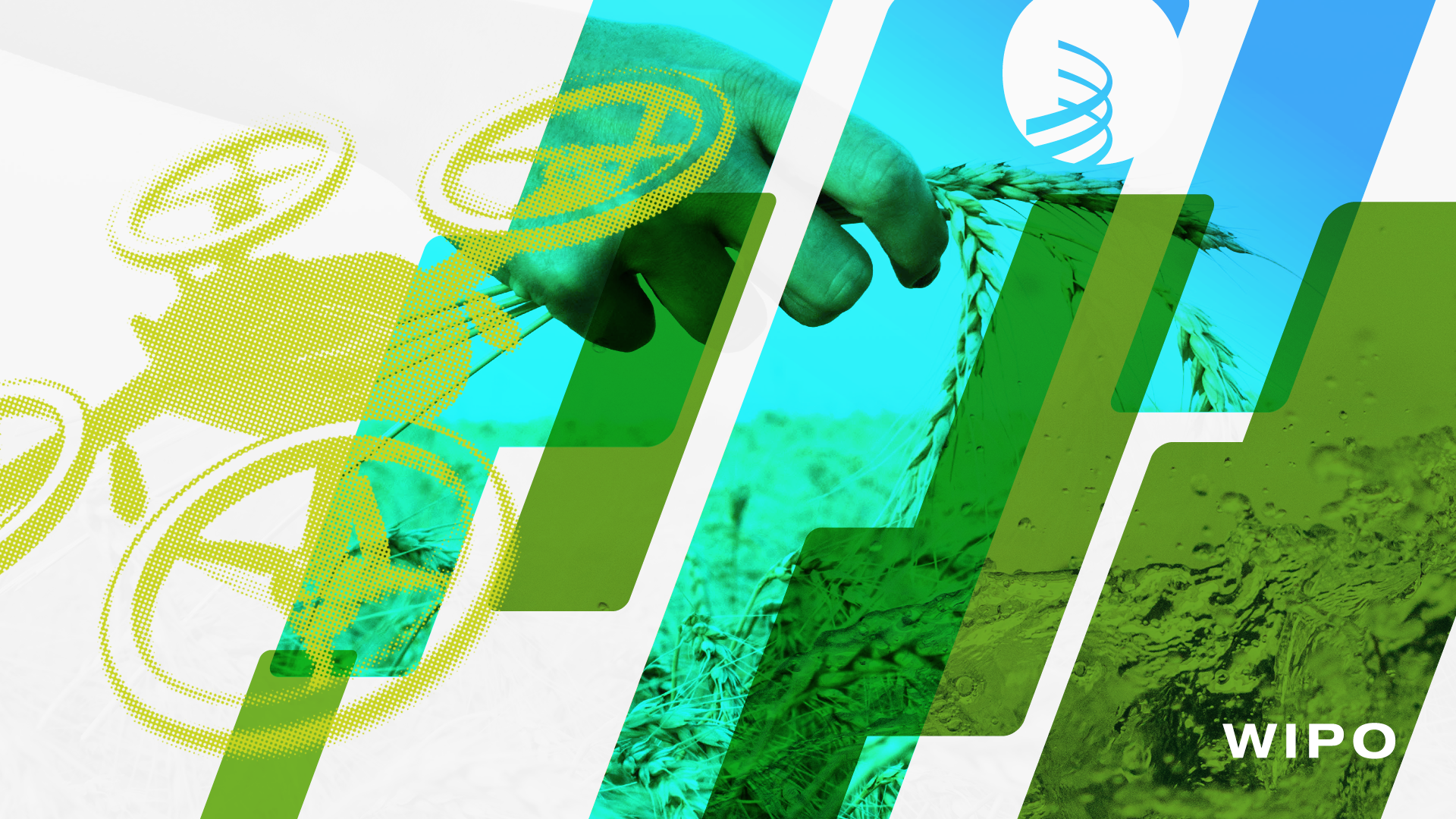 Unlocking Climate Innovation: From Global Commitments to Local Green Technology Deployment