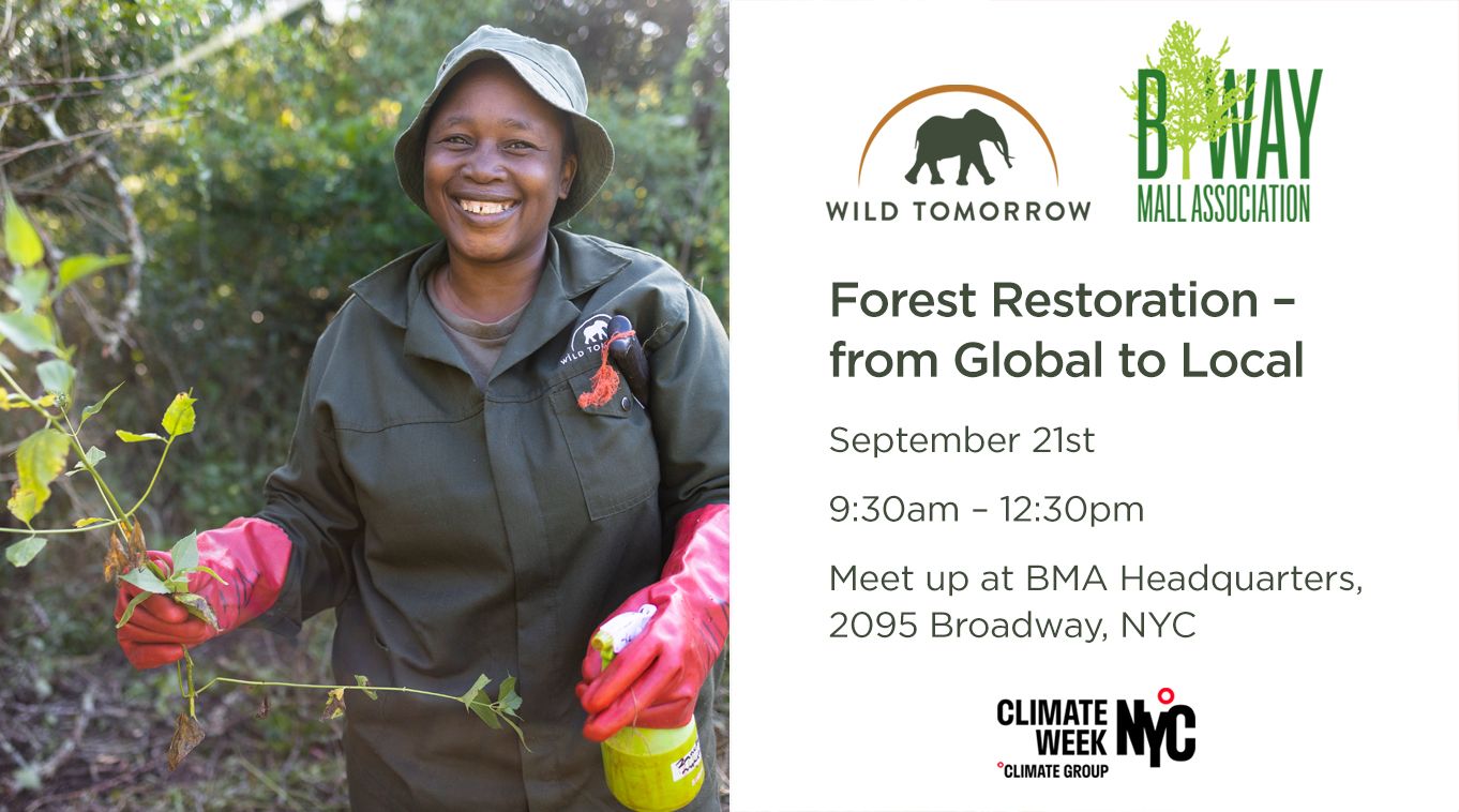 Forest Restoration – from local to global