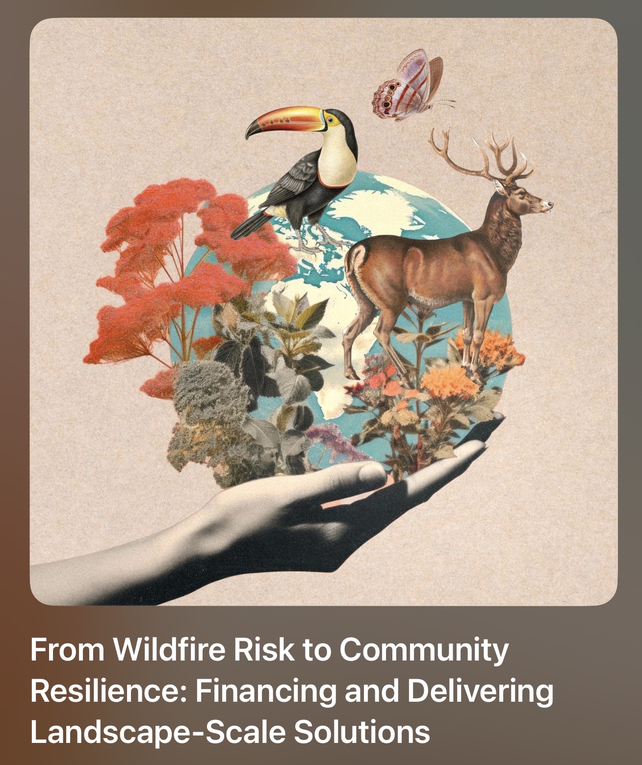 From Wildfire Risk to Community Resilience: Financing and Delivering Landscape-Scale Solutions
