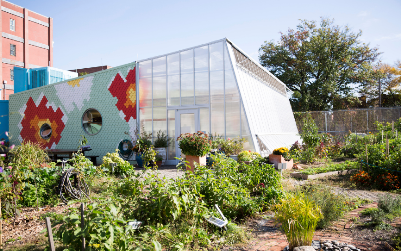 Planting Change: School Gardens as Hubs for Climate Action and Community