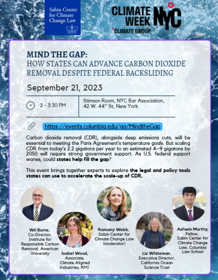 Mind the Gap: How States Can Advance Carbon Dioxide Removal Despite Federal Backsliding