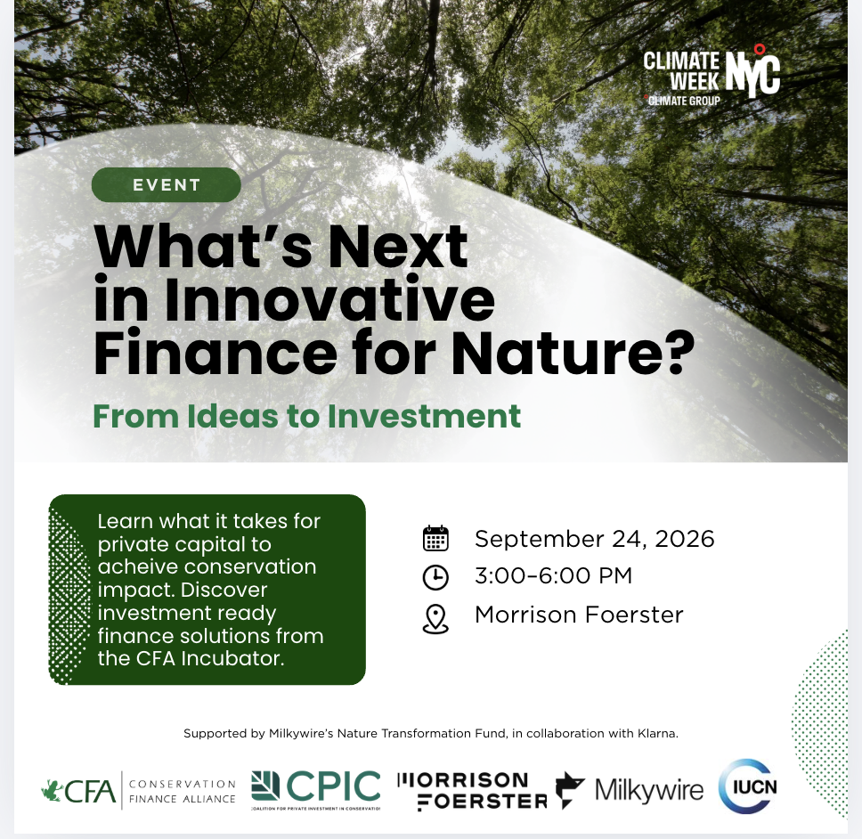 What's Next in Innovative Finance for Nature?