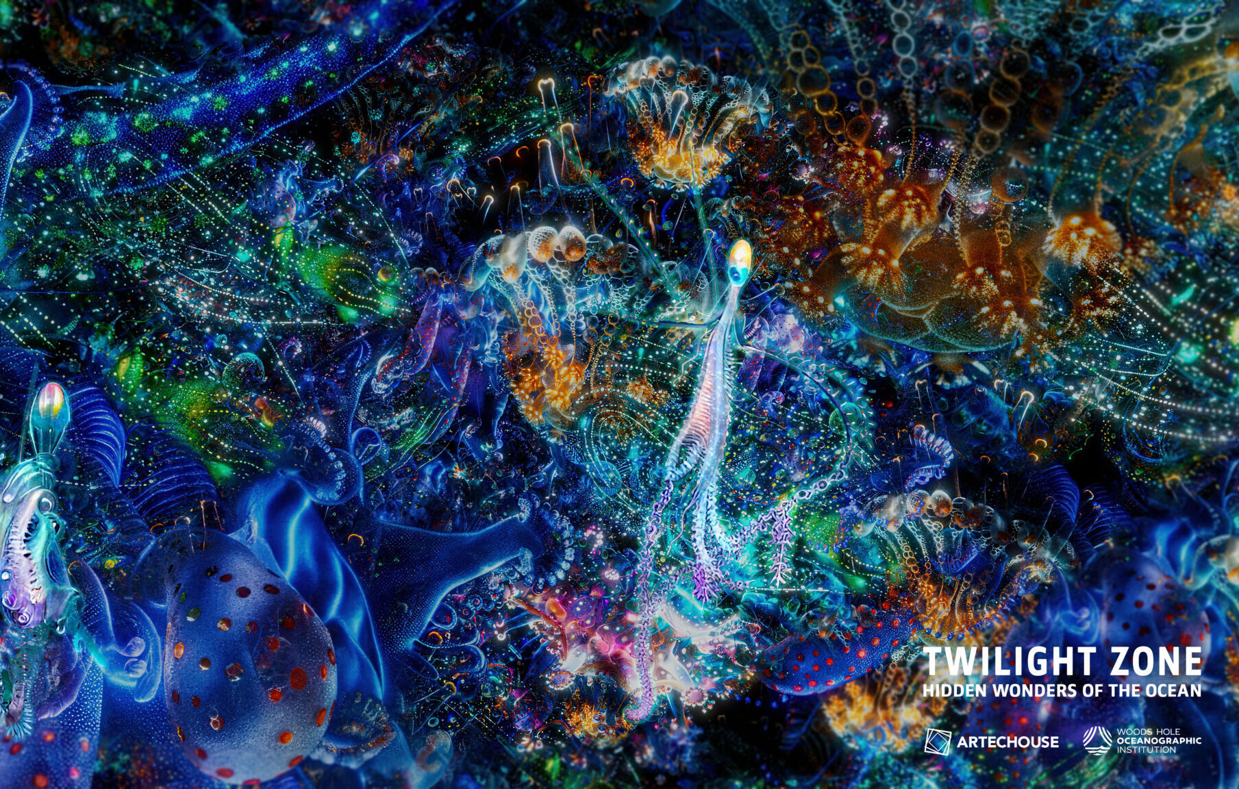 Twilight Zone: Hidden Wonders of the Ocean at ARTECHOUSE NYC