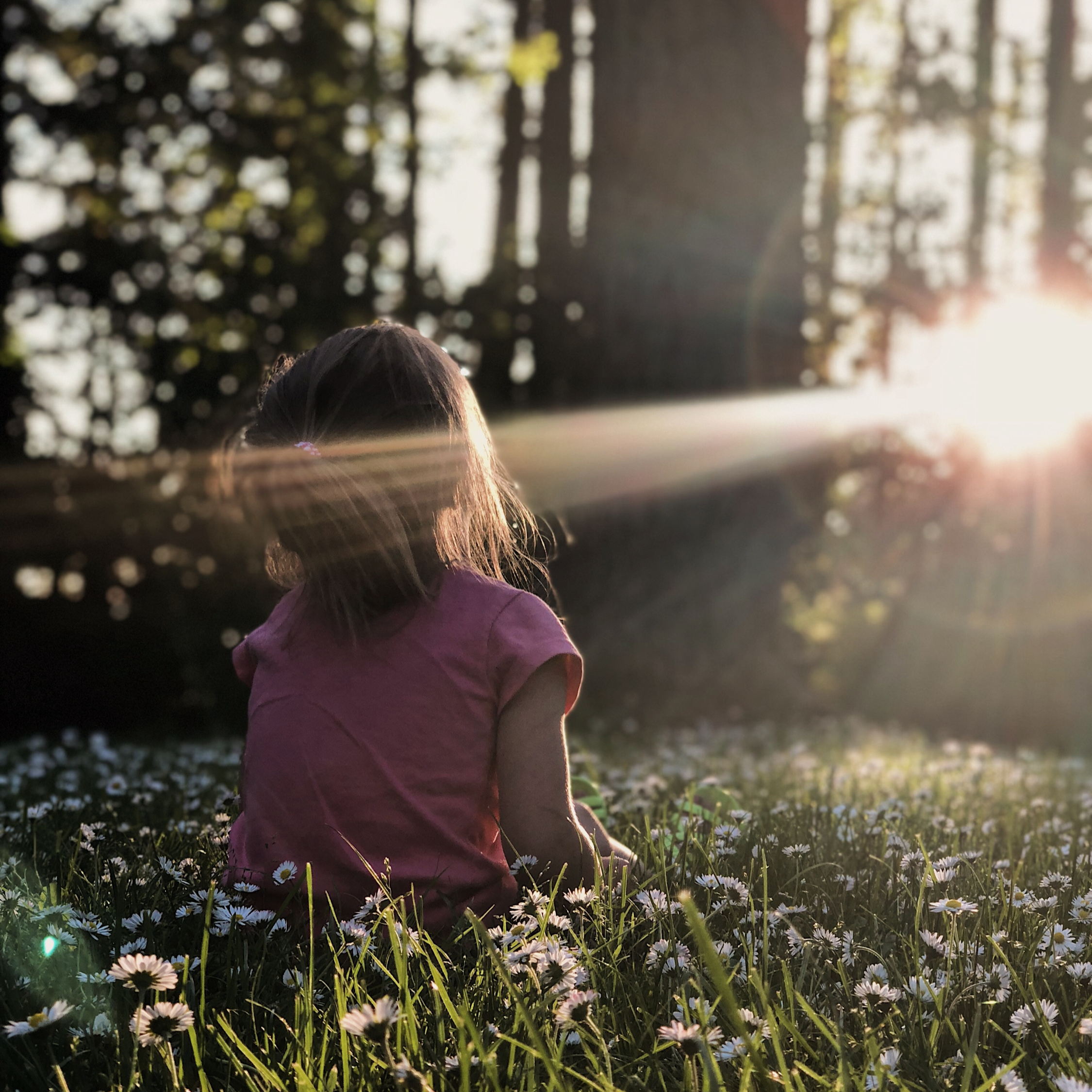2 Hours Outside: The Cheapest Climate Intervention We're Not Doing