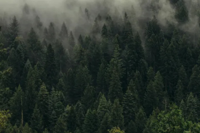 Climate Week Executive Briefing: Quantifying EUDR Risk Across Complex Supply Chains