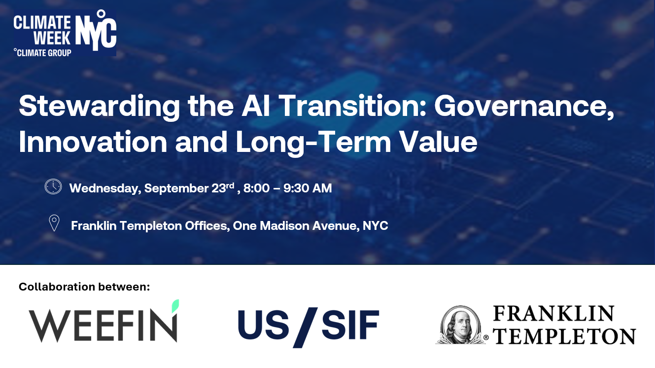 Stewarding the AI Transition: Governance, Innovation and Long-Term Value