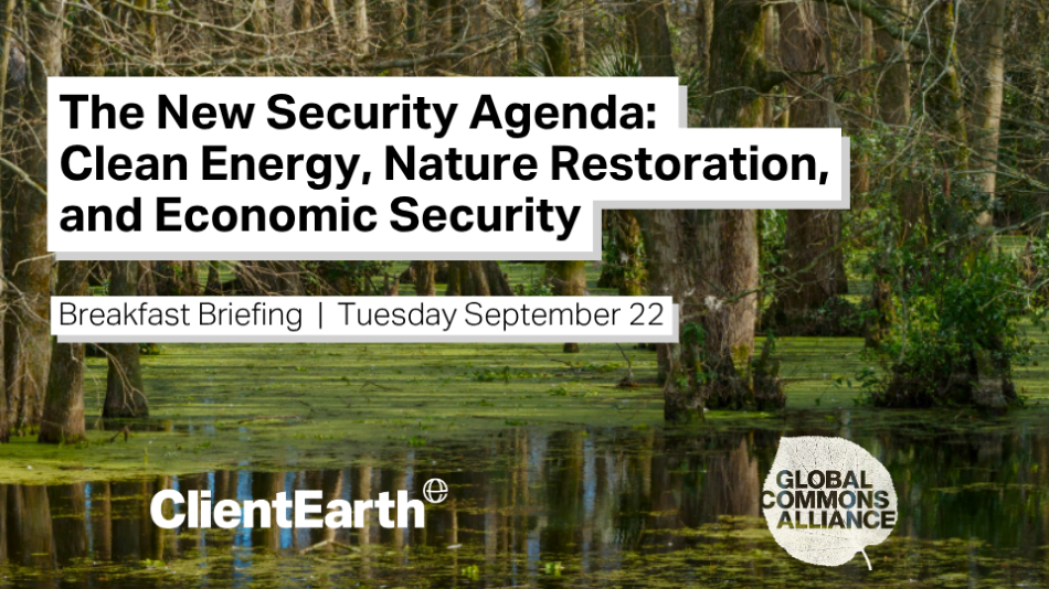 The New Security Agenda: Clean Energy, Nature Restoration, and Economic Security