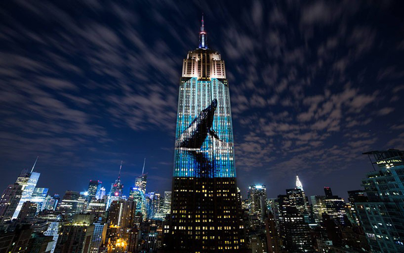  Endangered New York: Protecting Wild Animals in a Changing Climate 