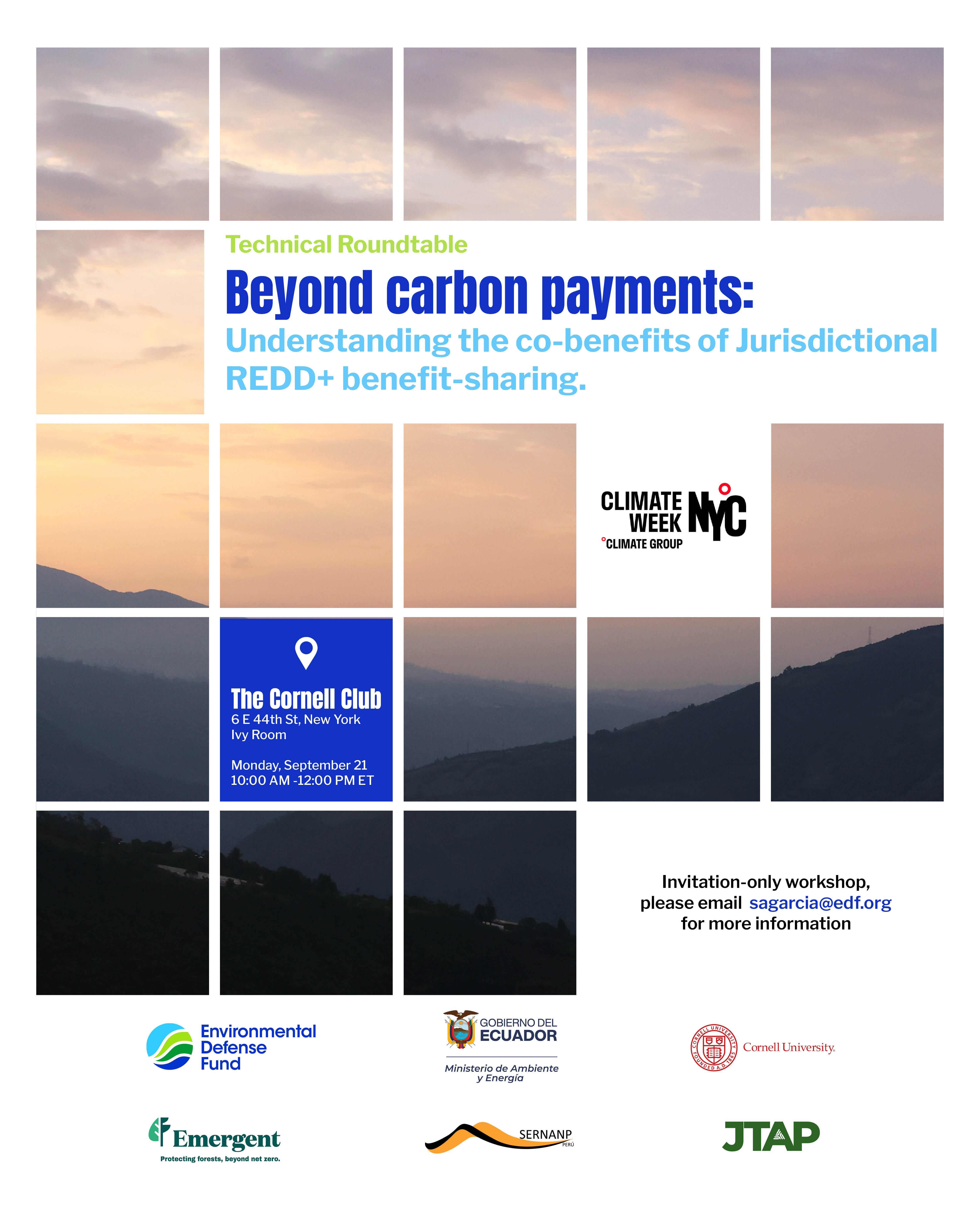 Beyond Carbon Payments: Understanding the Co-benefits of Jurisdictional REDD+ Benefit-sharing