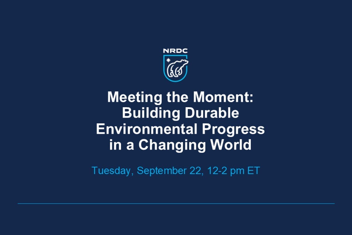 Meeting the Moment – Building Durable Environmental Progress in a Changing World