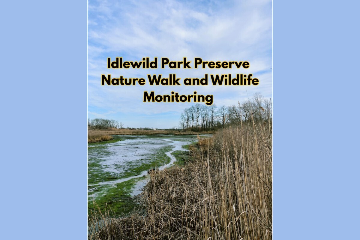 Nature Walk and Wildlife Monitoring