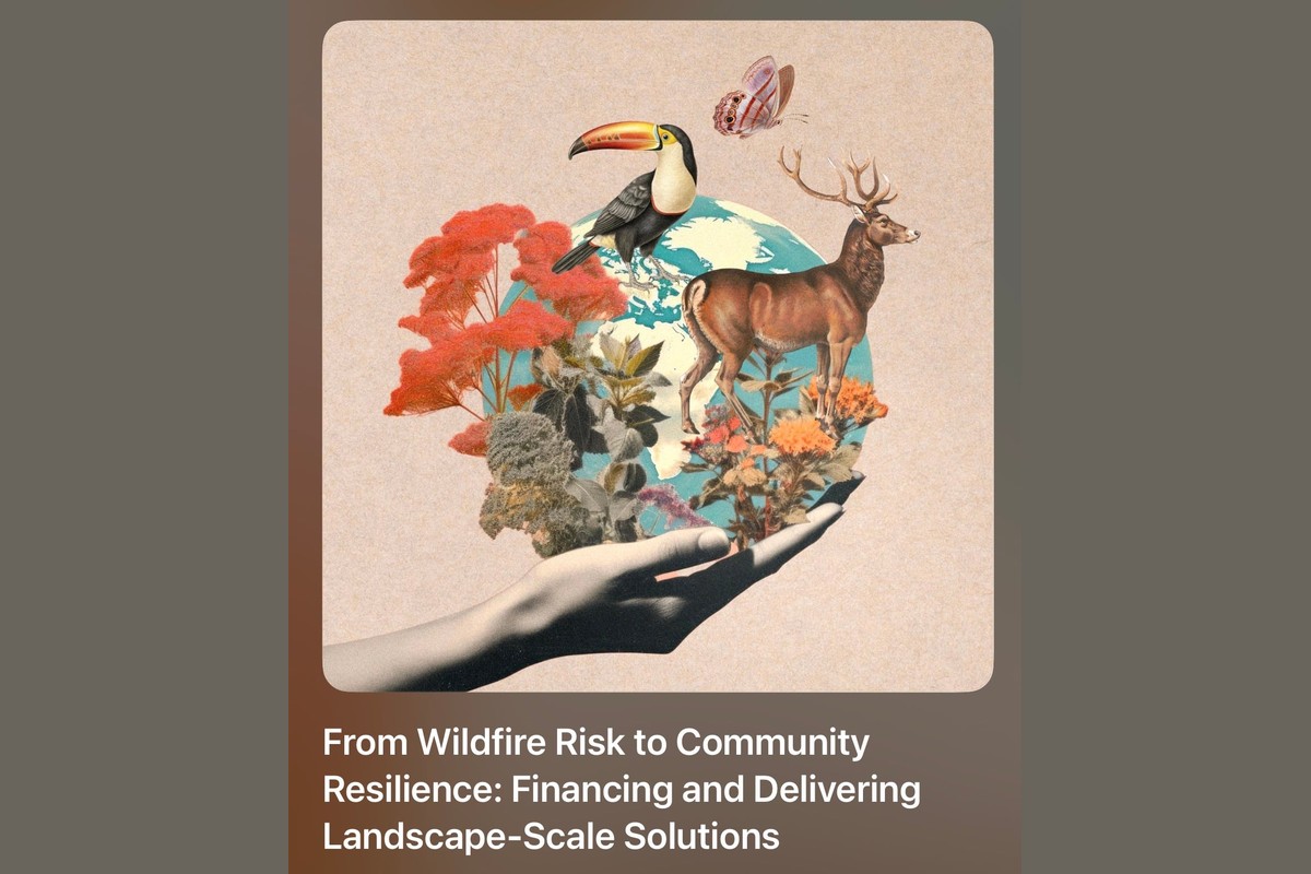 From Wildfire Risk to Community Resilience: Financing and Delivering Landscape-Scale Solutions