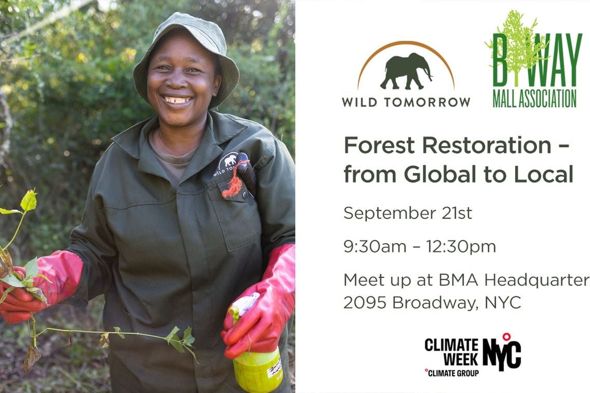 Forest Restoration – from local to global