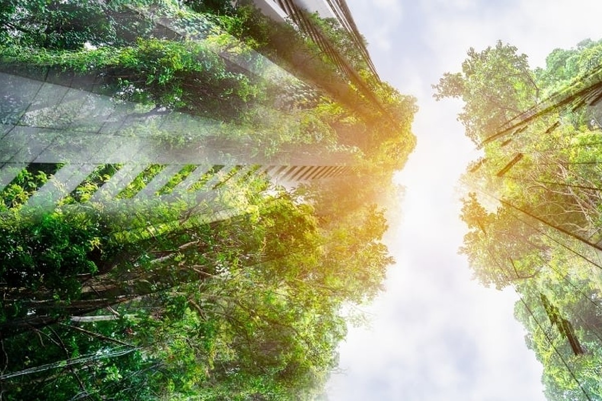 Perspectives on the UK Natural Capital Sector for Foreign Investors