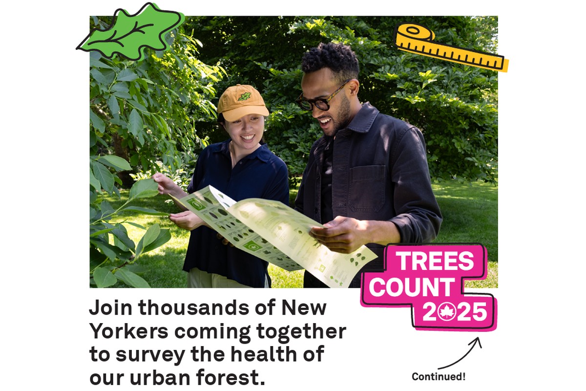 Trees Count at Crotona Park for Climate Week