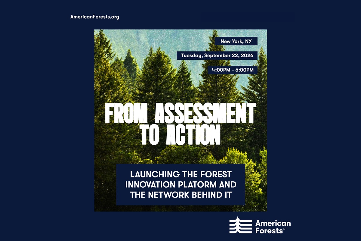 From Assessment to Action: Launching the Forest Innovation Platform