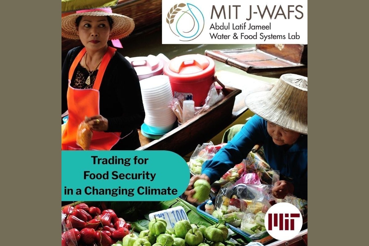 Trading for Food Security in a Changing Climate