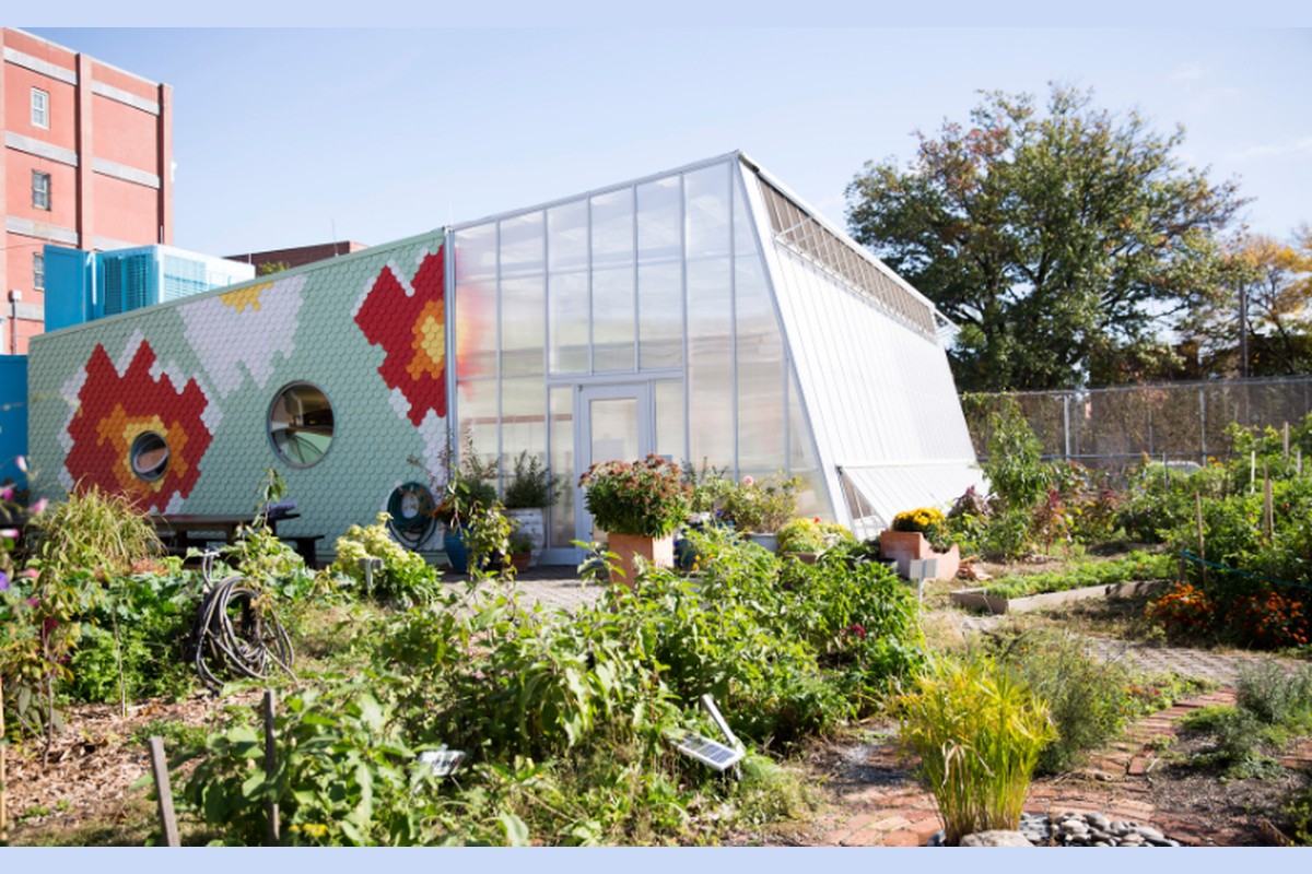 Planting Change: School Gardens as Hubs for Climate Action and Community