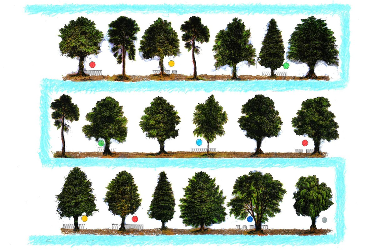 WaterWays//Sitting with Trees: How Can Artists + Scientists + Communities Work Together to Imagine a More Flood Resilient NYC?