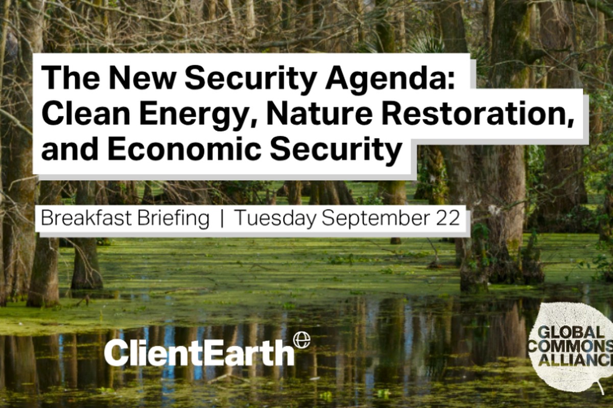 The New Security Agenda: Clean Energy, Nature Restoration, and Economic Security