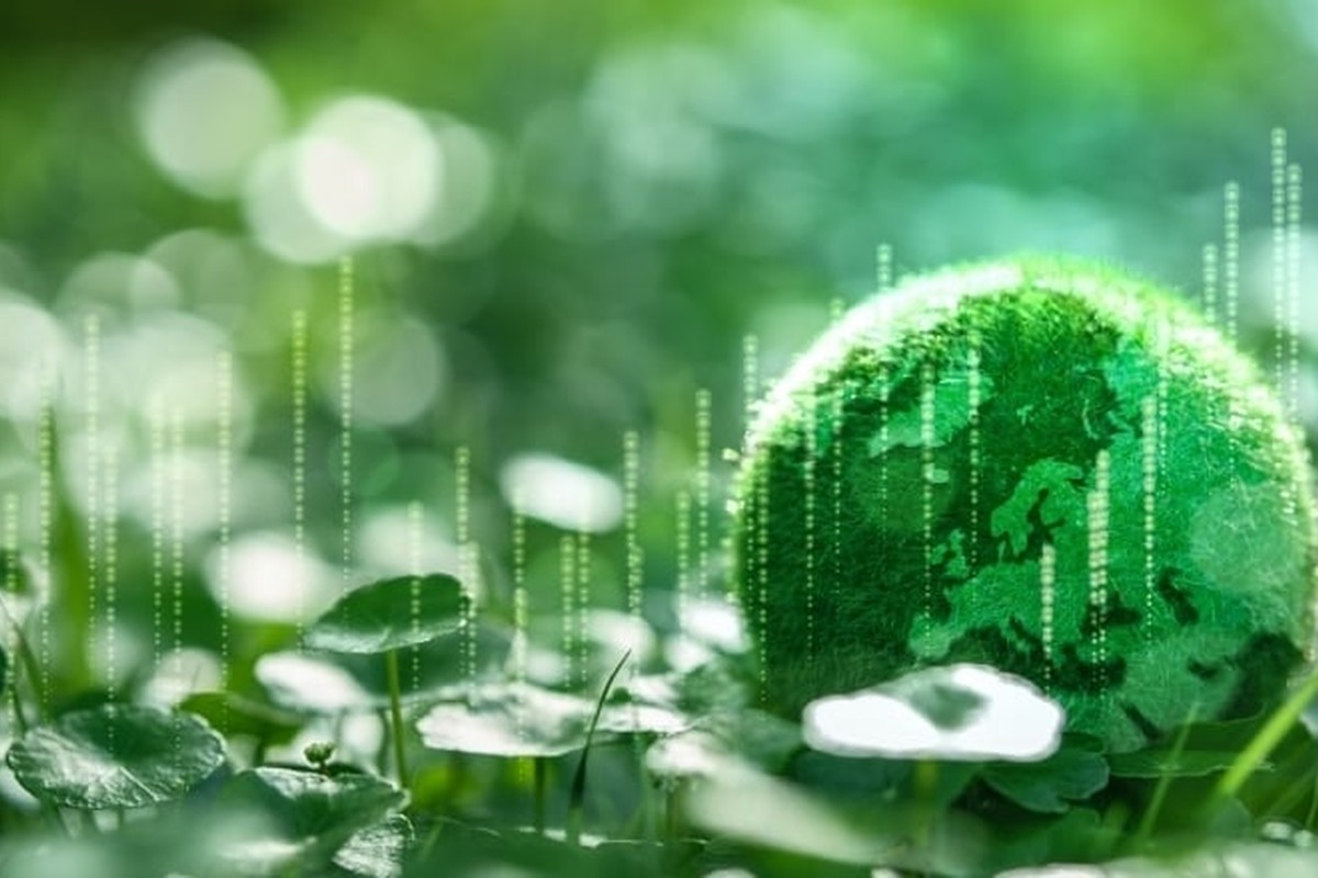 ESG and Sustainability Considerations for Financial Institutions – Preparing For What Is Next